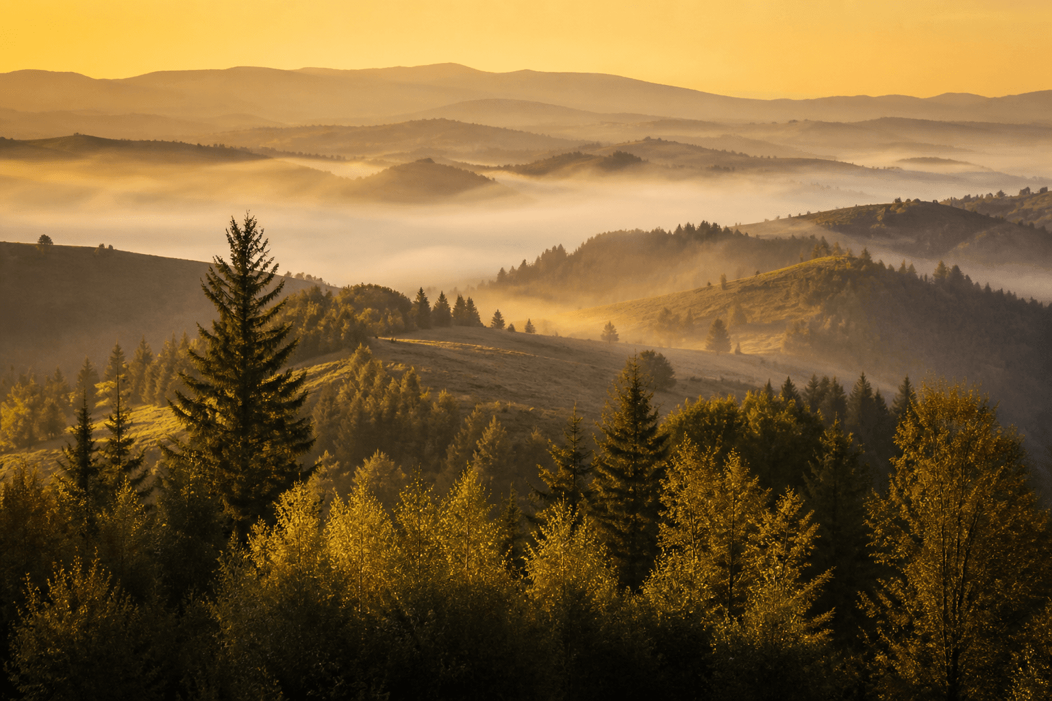Peisaj atmosferic de dealuri și pădure — ilustrație, nu o fotografie a proprietății